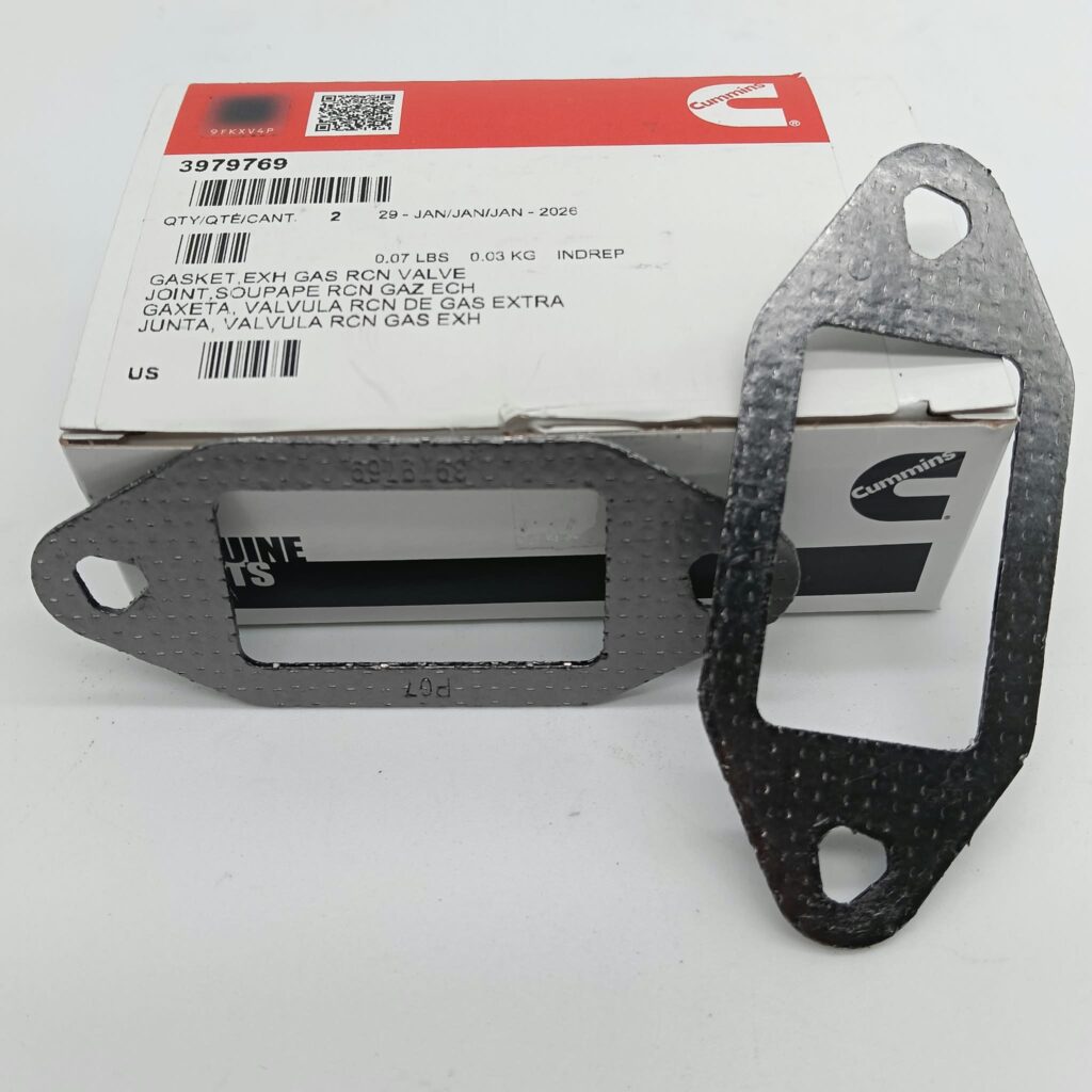 GUARNIZIONE VALVOLA EGR CUMMINS 3979769 - 397976900